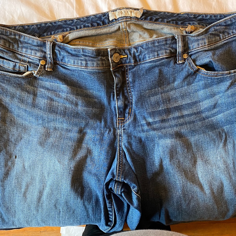 Torrid Skinny Jeans